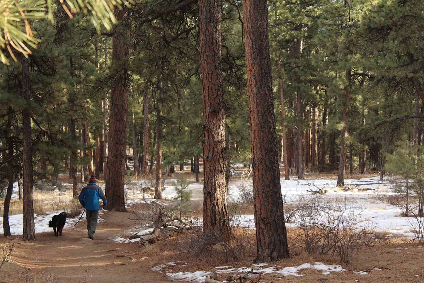 Read more about the article 5 Reasons why fall camping is the best