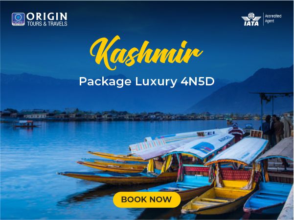 Read more about the article 5 Best Honeymoon Packages in J & K