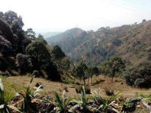 Read more about the article 15 Beautiful Villages in India for a Unique Travel Experience
