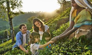 Read more about the article 5 Days Best Kerala Itinerary for Kids
