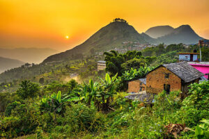 Read more about the article 10 Best Attraction in Bandipur Sanctuary