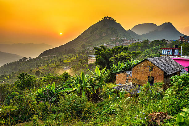 You are currently viewing 10 Best Attraction in Bandipur Sanctuary