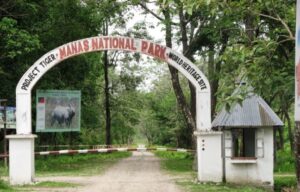 Read more about the article 10 best Places for which Manas Sanctuary in Assam known as?