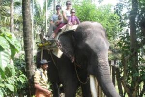 Read more about the article 3 days best itinerary for kids in India