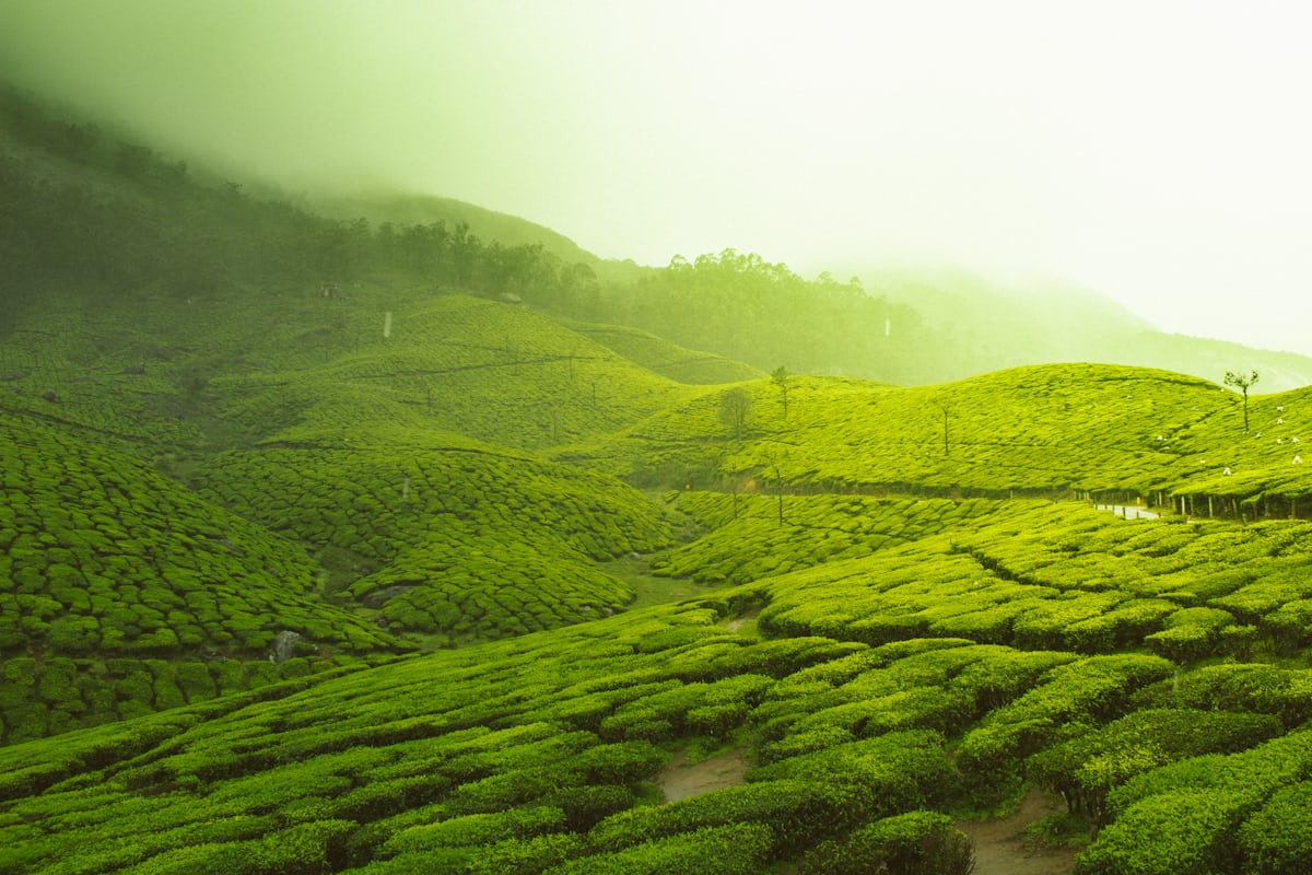 Read more about the article Best tourist places in Pahalgam worth visiting 