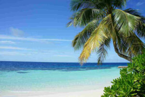 Read more about the article Which are 5 most visited places in Goa?