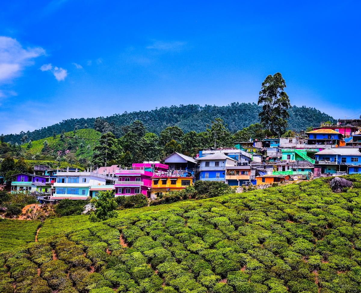 Read more about the article What is special in Munnar – is Kerala a paradise of nature and peace.