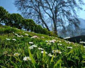 Read more about the article What are 10 best tourist attracts in Srinagar? 