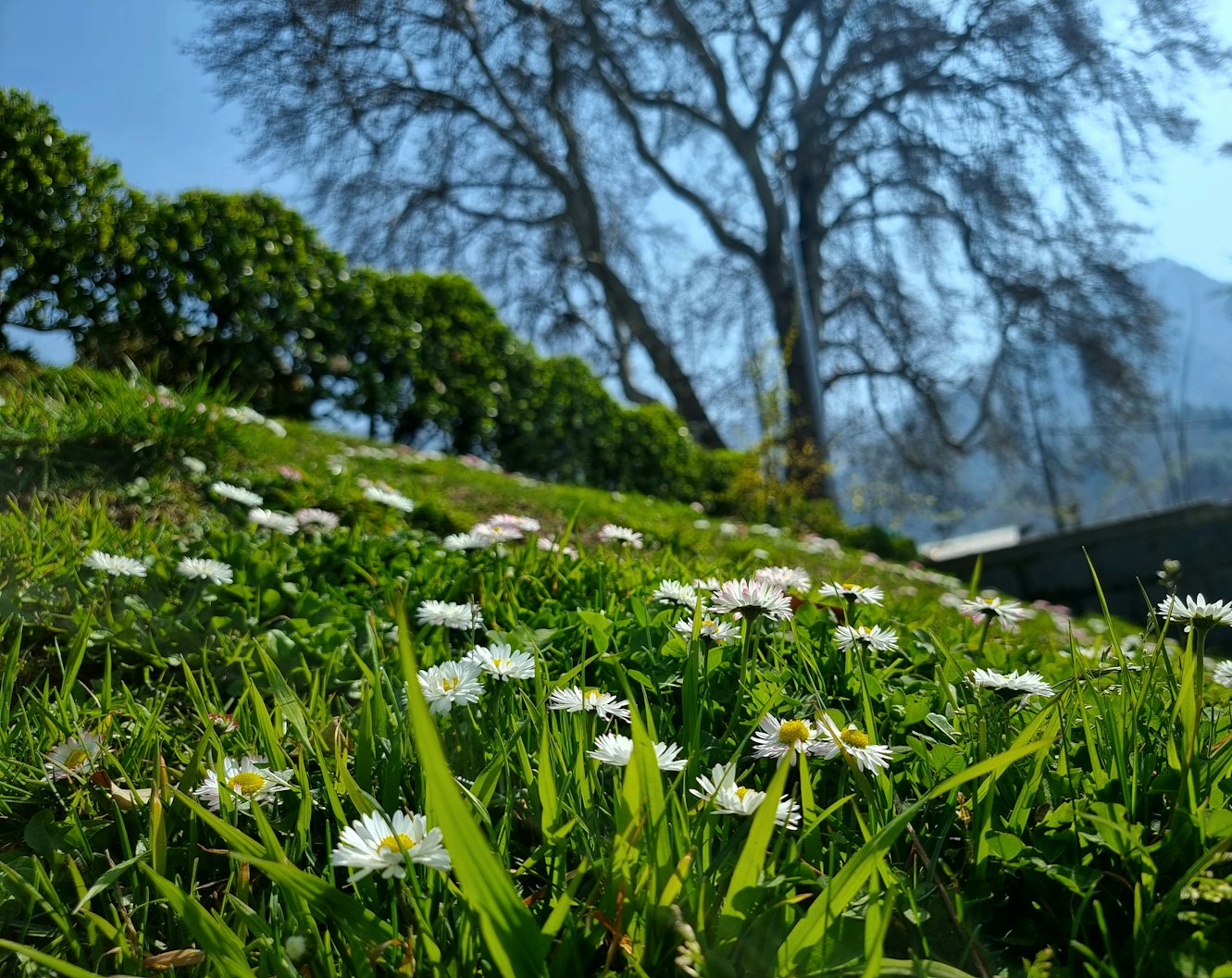 Read more about the article What are 10 best tourist attracts in Srinagar? 