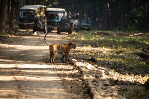 Read more about the article What is the original name of Jim Corbett National Park?