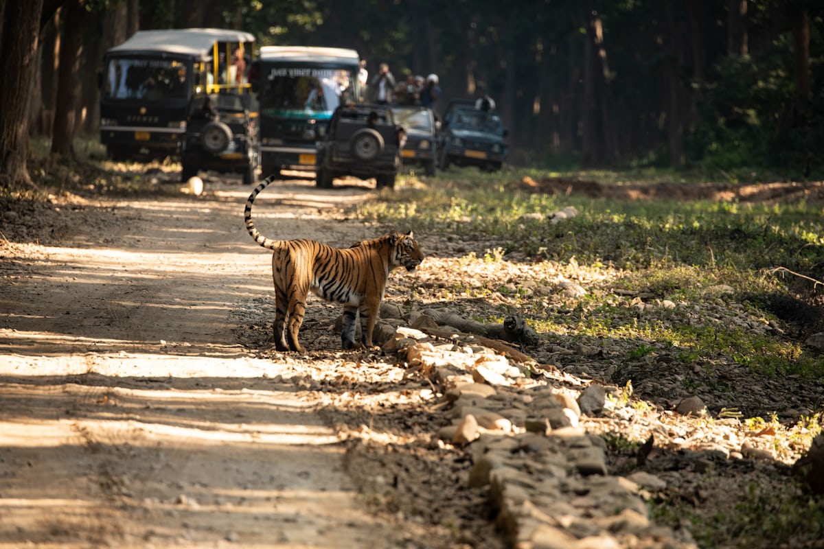 You are currently viewing What is the original name of Jim Corbett National Park?