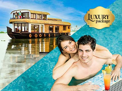 Read more about the article 6 Best Kerala Honeymoon Packages 
