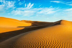 Read more about the article Why is the thar desert important to India? 