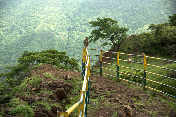 7 Thrilling Hill Station Treks for in India 7 Thrilling Hill Station Treks for in India