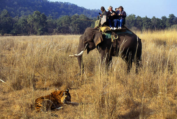 gettyimages 1337888966 612x612