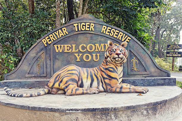 6 thrilling wildlife experiences in India’s jungles