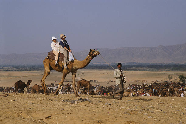 gettyimages 693919323 612x612