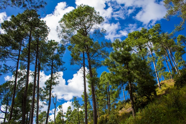 21 Most Beautiful Places in Uttarakhand