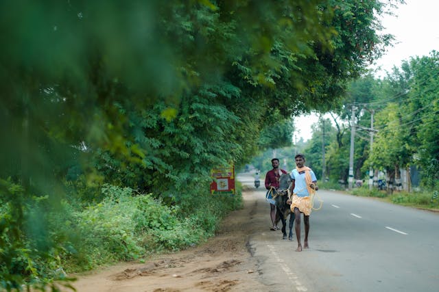 Top 10 Hill Stations in South India