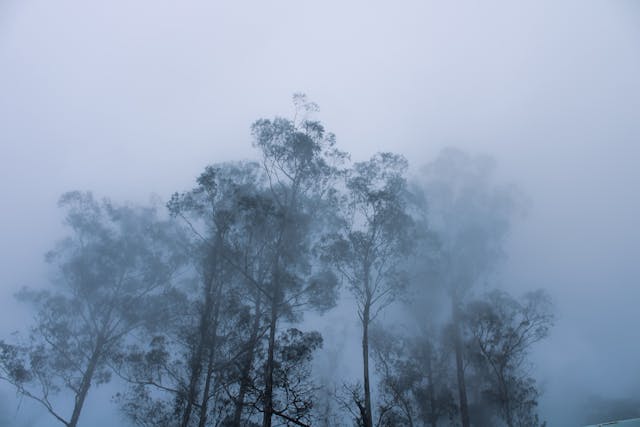 Top 10 Hill Stations in South India