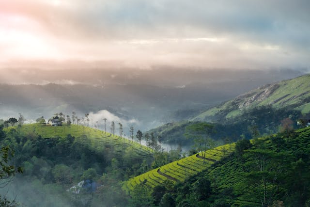 Top 10 Hill Stations in South India