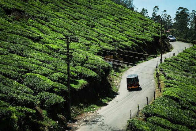 Top 10 Hill Stations in South India